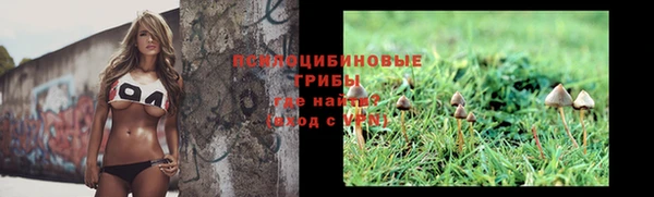 прущие грибы Арсеньев