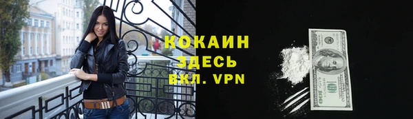 гидра Аркадак