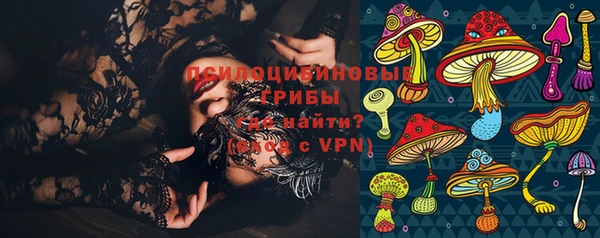 прущие грибы Арсеньев