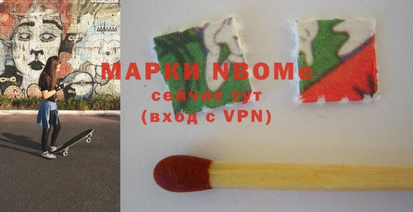шишки Покачи