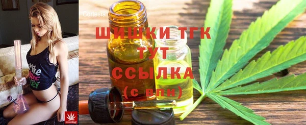 прущие грибы Арсеньев