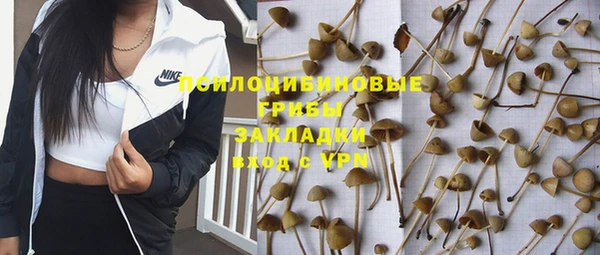 прущие грибы Арсеньев