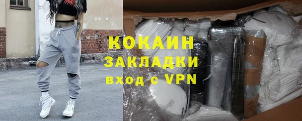 шишки Покачи