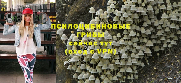гидра Аркадак