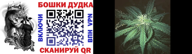 МЕГА ссылка  хочу наркоту  Нея  Шишки марихуана White Widow 